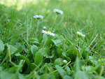 Fotoblog seba03