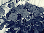 Fotoblog pyniulaa