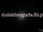 Fotoblog feniksowa