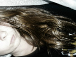 Fotoblog beeztwaarzy