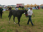 Fotoblog aska85