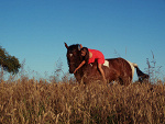 Fotoblog kwintoo