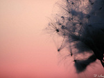 Fotoblog malinoowelovex3