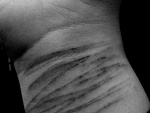 Fotoblog gigaxd