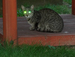 Fotoblog timike2002