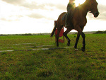 Fotoblog matyldamod