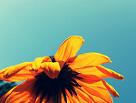 Fotoblog annapeta