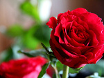 Fotoblog midnightlove