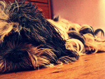 Fotoblog karomiecz