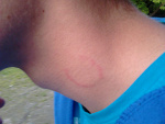 Fotoblog soliss1