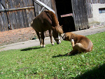 Fotoblog kasiu25
