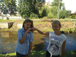 Fotoblog tyna1005