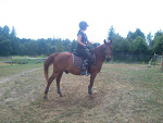 Fotoblog oreczkowa