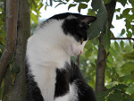 Fotoblog karbinowski