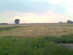 Fotoblog luthien121