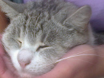 Fotoblog uwielbiamcie15