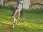 Fotoblog koralitto