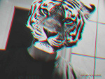 Fotoblog patryczyskooo