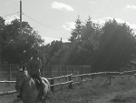 Fotoblog masozi