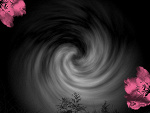 Fotoblog nenju