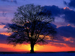 Fotoblog holyshitx