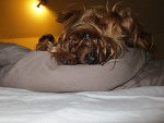 Fotoblog loveebeauty