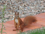 Fotoblog izunia870