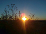 Fotoblog chrumchruum