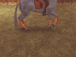Fotoblog simsolandstablehorse