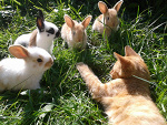 Fotoblog lenaaaaxd