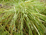 Fotoblog niskaaaaa