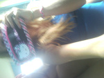 Fotoblog psssychicznaa