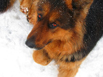 Fotoblog pamietniksary
