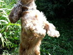 Fotoblog doonia97