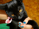 Fotoblog roxx33