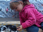 Fotoblog kate78