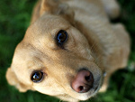 Fotoblog daariannaa