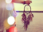 Fotoblog greymuffine