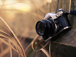 Fotoblog compuppy