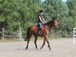 Fotoblog horsiak321