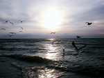 Fotoblog cukru