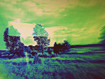 Fotoblog bezpestki