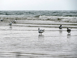 Fotoblog photographymylife