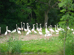 Fotoblog klaudia07051992