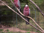 Fotoblog eheeem