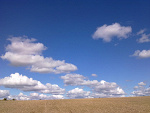 Fotoblog sewerr