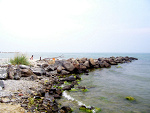 Fotoblog xwhocares