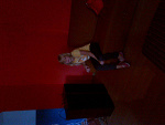 Fotoblog nataleczkaxxxx