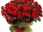 Fotoblog berry12