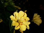 Fotoblog xsanio